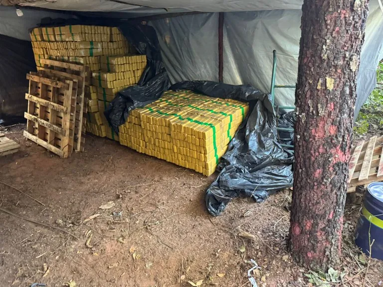 GRANDE EXPORTADOR DE DROGAS - FICCO/MS apreende oito toneladas de maconha em acampamento na Zona Rural de Campo Grande